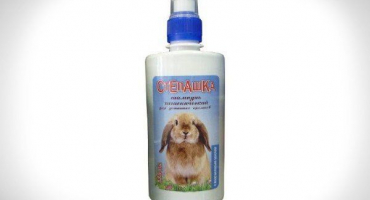 Potřebuji koupat králíka a jak na to?